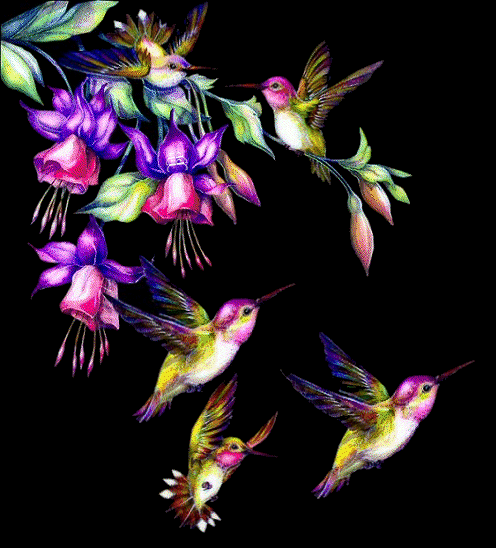 les oiseaux